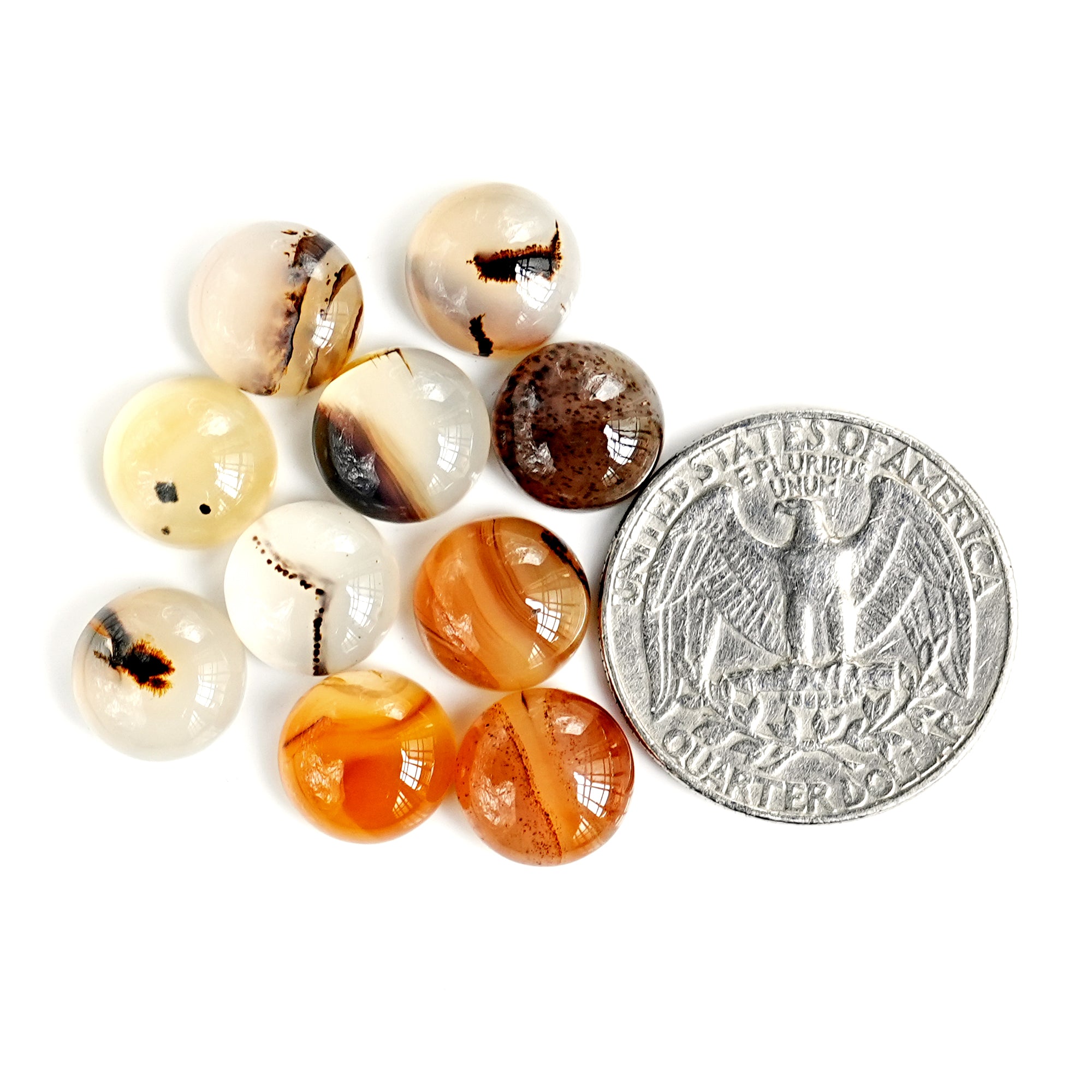 Montana Agate Cabochon |  Natural Flatback Loose Gemstones for Jewelry Making - 10 Pieces
