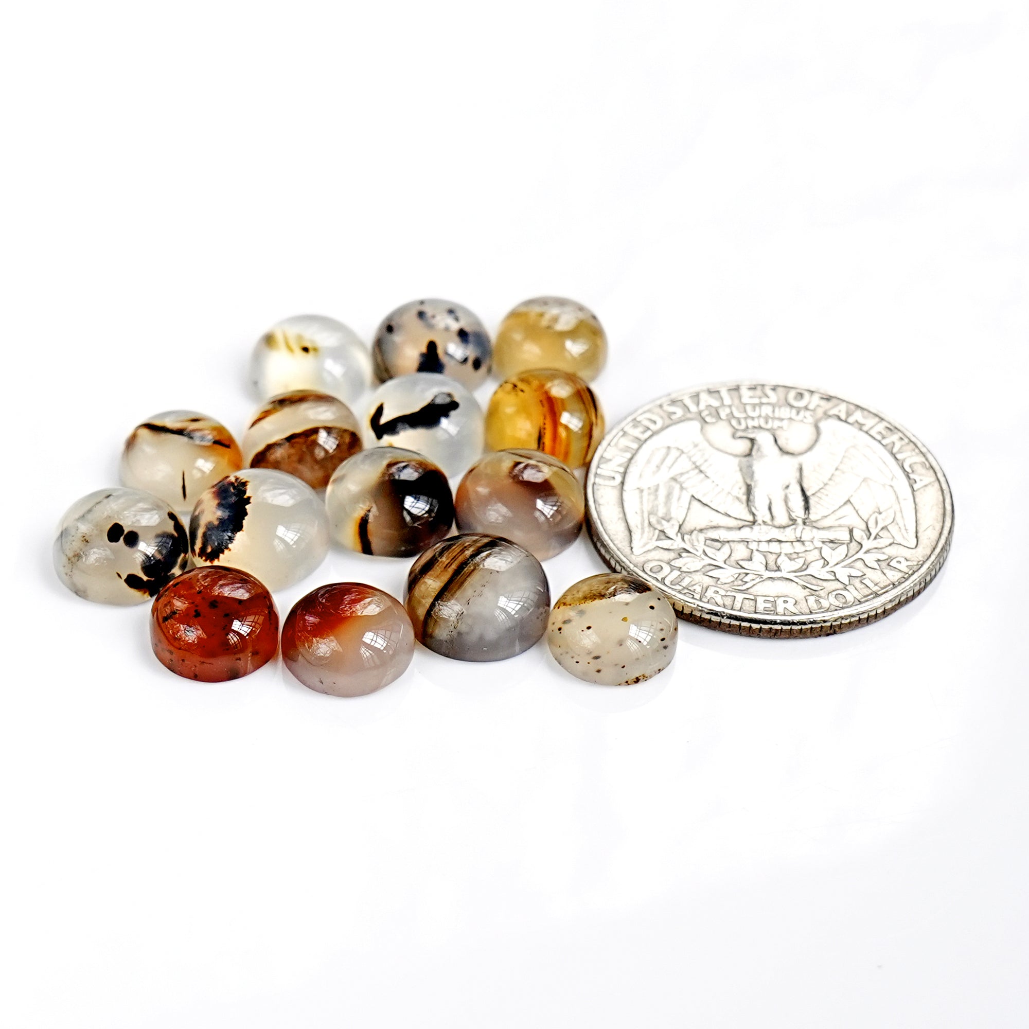 Montana Agate Cabochon |  Natural Flatback Loose Gemstones for Jewelry Making - 10 Pieces
