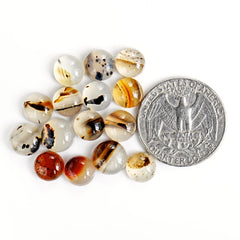 Montana Agate Cabochon |  Natural Flatback Loose Gemstones for Jewelry Making - 10 Pieces