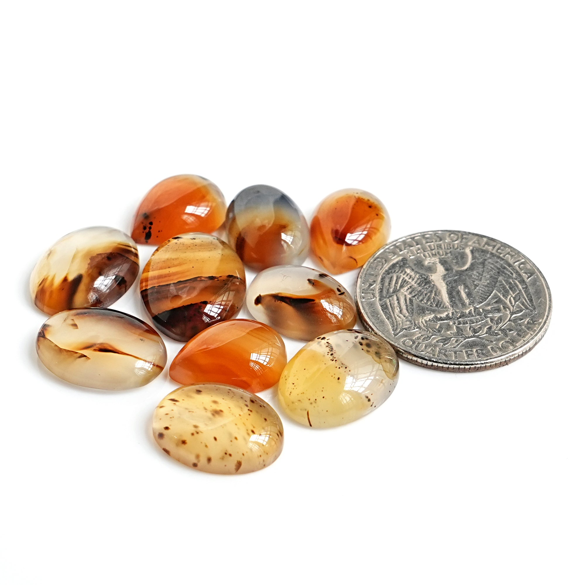 Montana Agate Cabochon |  Natural Flatback Loose Gemstones for Jewelry Making - 10 Pieces