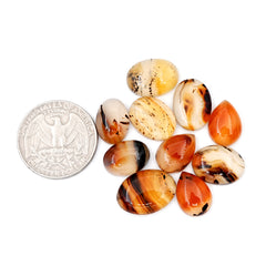 Natural Montana Agate Gemstones | Smooth Cabochons For Jewelry Making - 10 Pieces