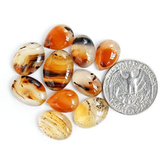 Montana Agate Cabochon |  Natural Flatback Loose Gemstones for Jewelry Making - 10 Pieces