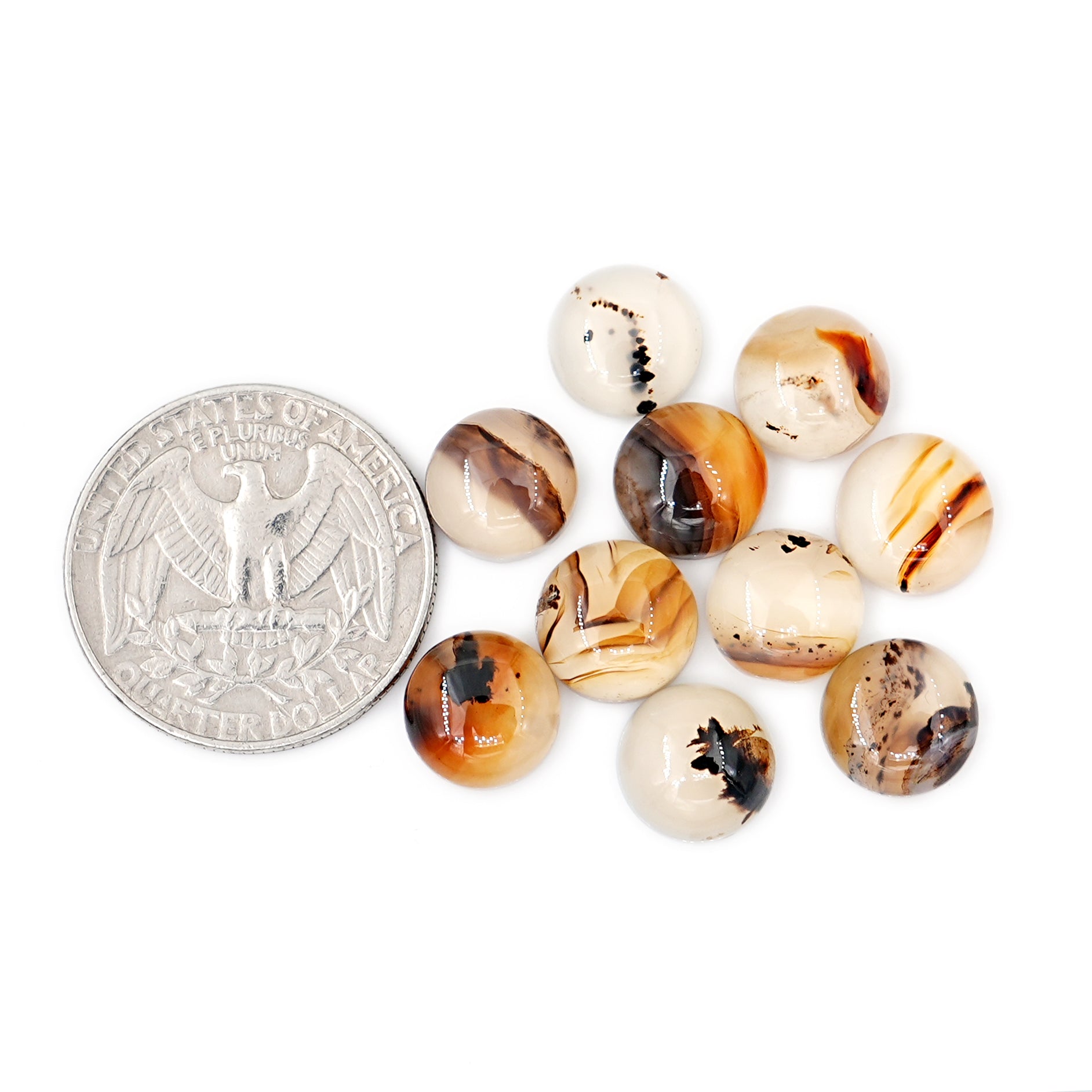 Round Shape Montana Agate Natural Gemstone | Smooth Cabochons For Jewelry Making - 10 Pieces