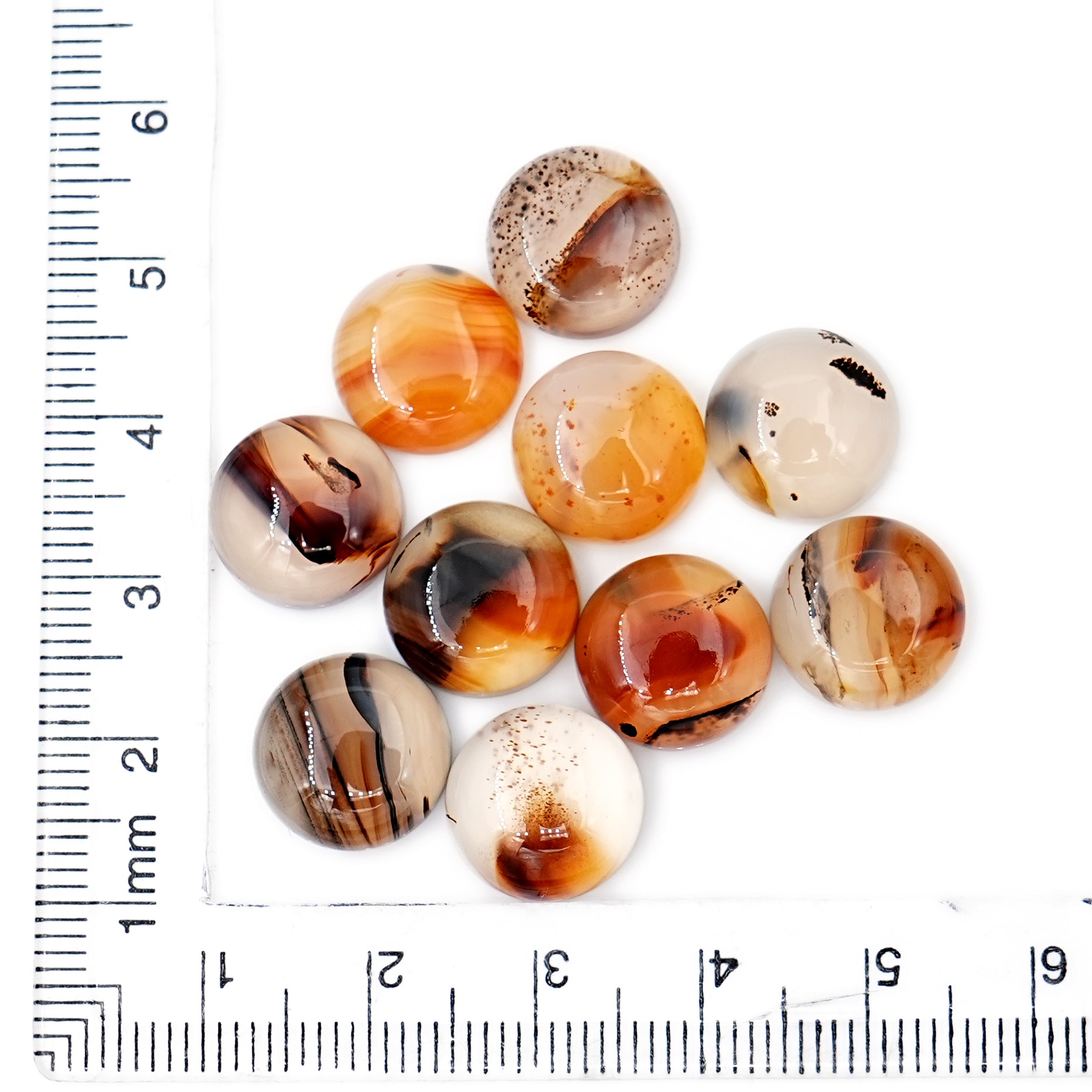 Round Cut Montana Agate Natural Gemstones | Smooth Cabochon For Jewelry Making - 10 Pieces