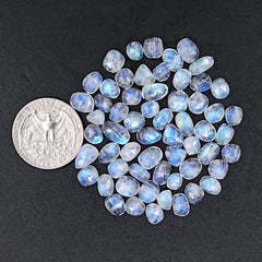 Rose Cut Rainbow Moonstone Cabochon | Freefrom Stones For Jewelry Making - 60 Pieces