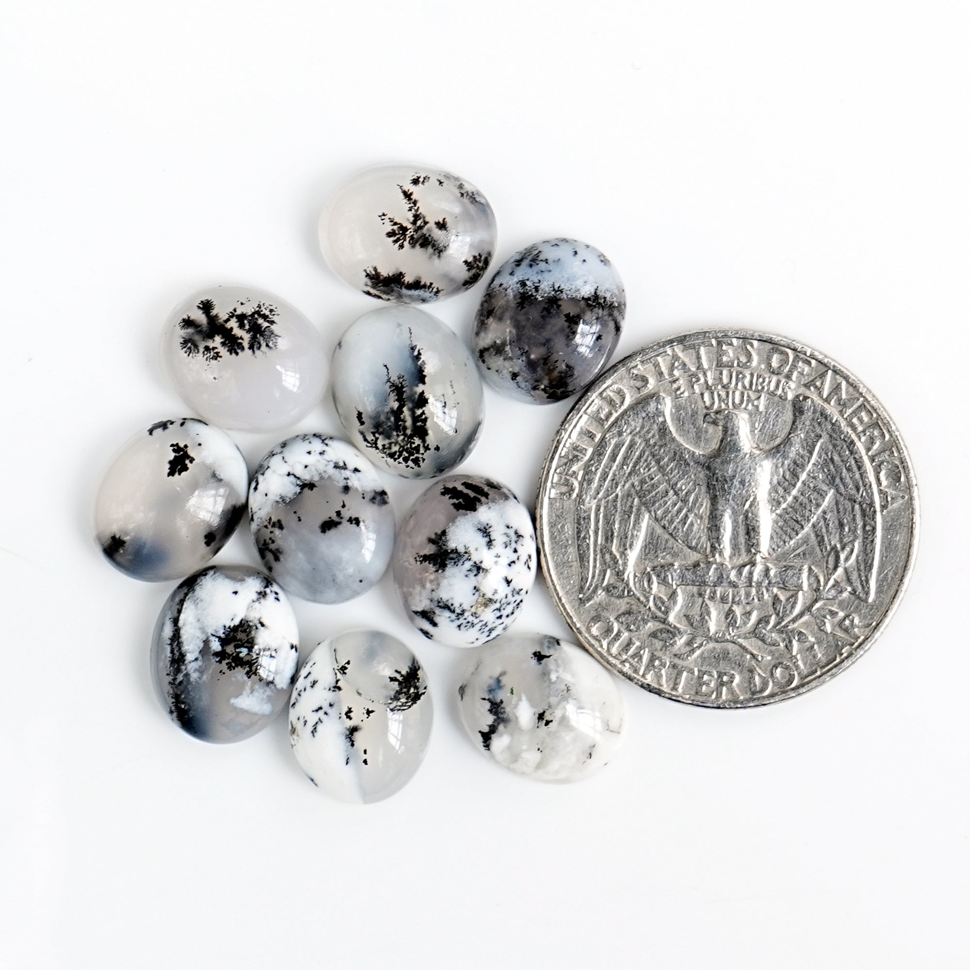 Dendritic Agate Cabochons | Natural Flatback Loose Gemstones For Jewelry Making - 10 Pieces