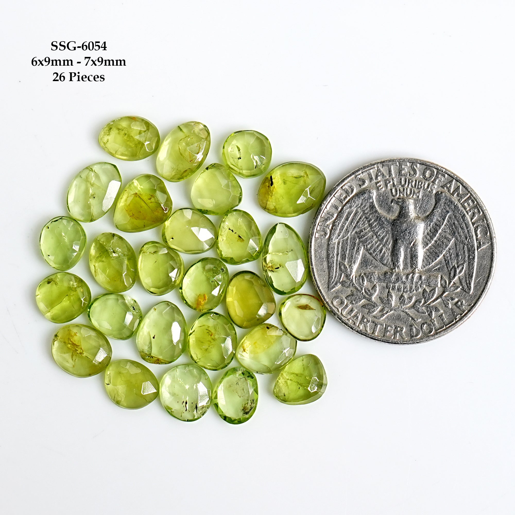 Peridot Rosecut Cabochons |  Freeform Natural Green Gemstones For Jewelry - 20 Pieces