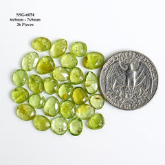 Peridot Rosecut Cabochons |  Freeform Natural Green Gemstones For Jewelry - 20 Pieces