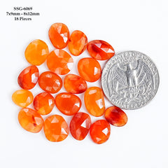 Carnelian Rosecut Freeform Cabochons | Deep Orange Faceted Cabochon for Jewelry Making - 18 Pieces