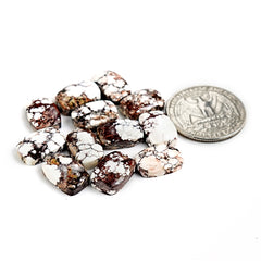 Wild Horse Jasper Cabochons| Natural Flatback Loose Gemstones for Jewelry Making - 12 Pieces