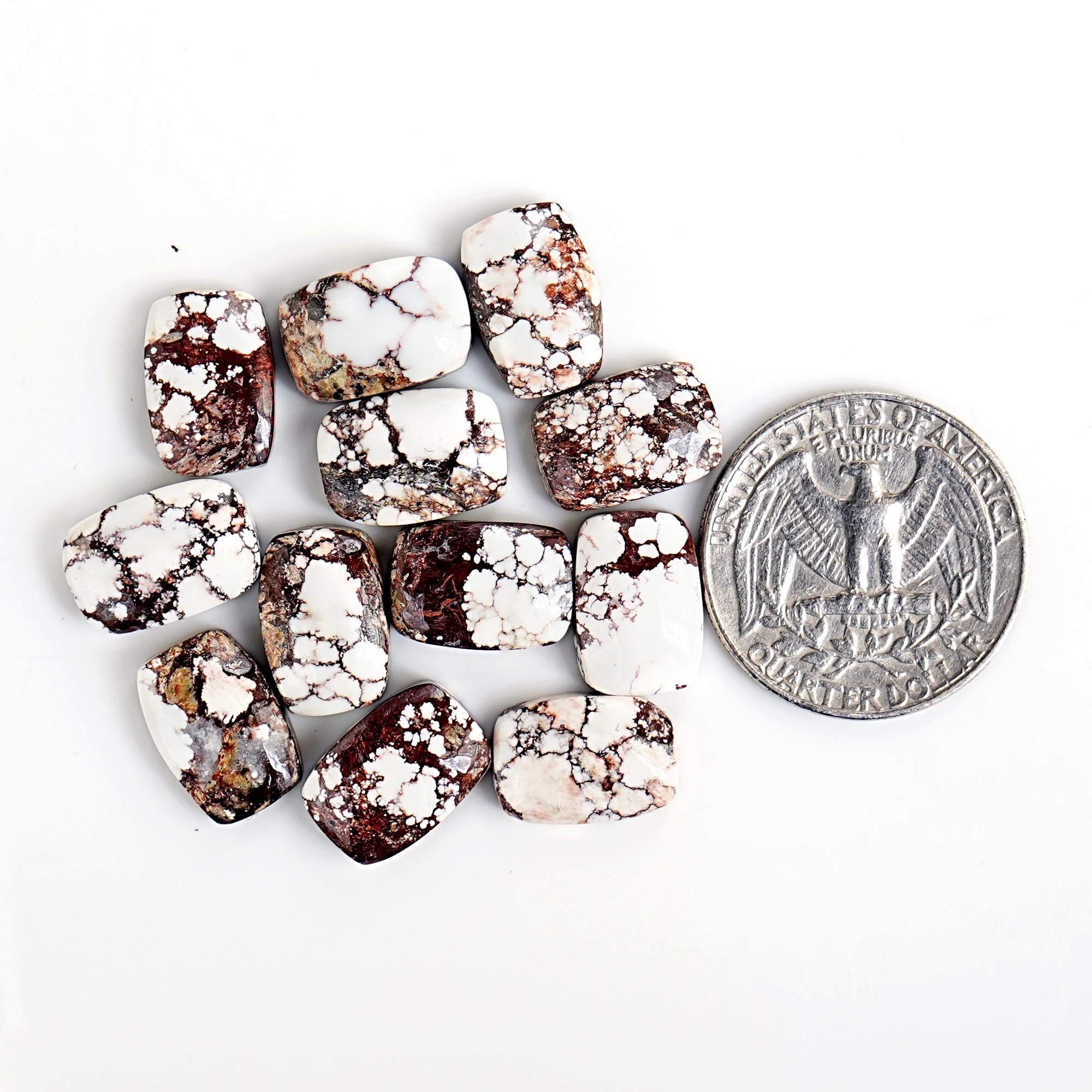 Wild Horse Jasper Cabochons| Natural Flatback Loose Gemstones for Jewelry Making - 12 Pieces