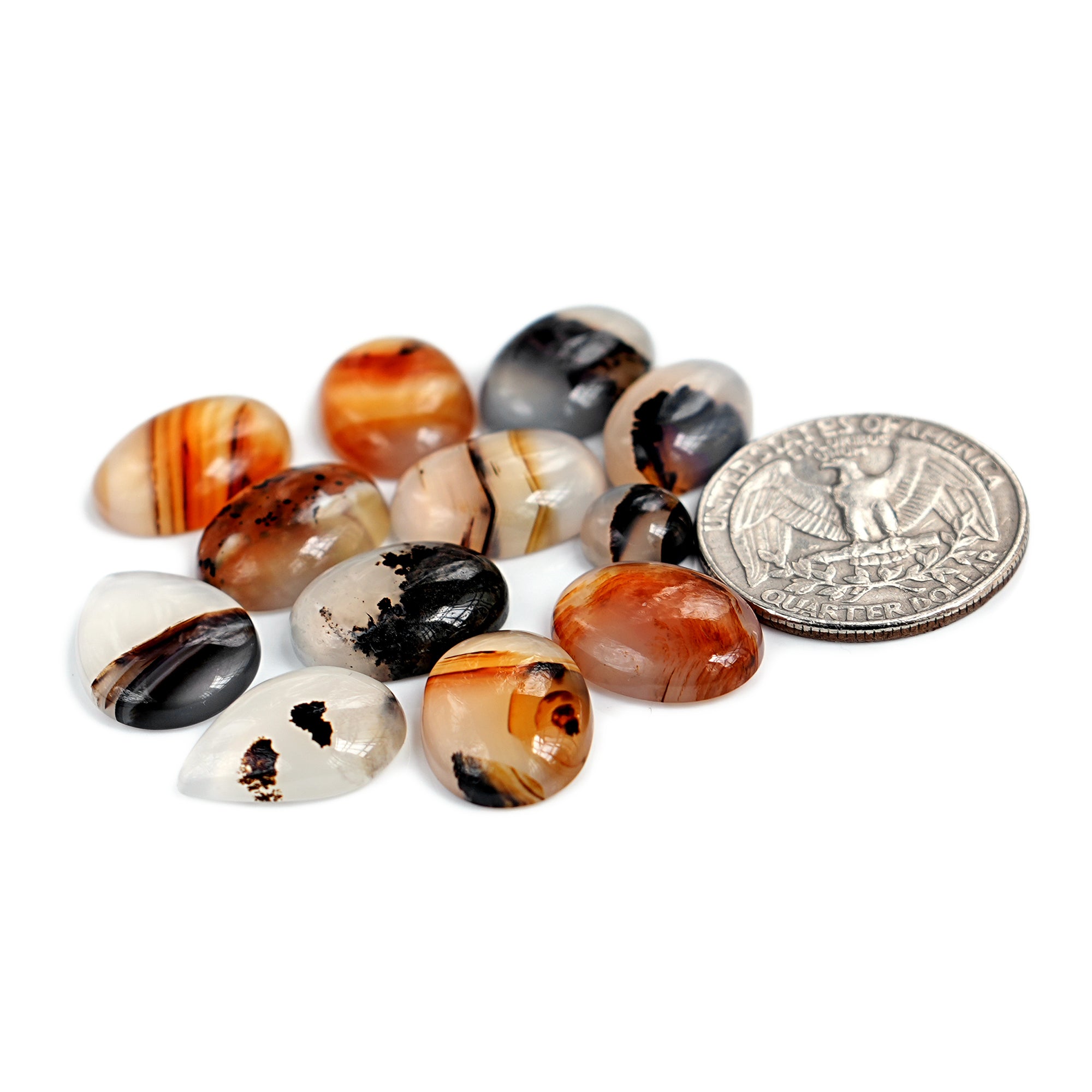 Montana Agate Cabochon |  Natural Flatback Loose Gemstones for Jewelry Making - 12 Pieces