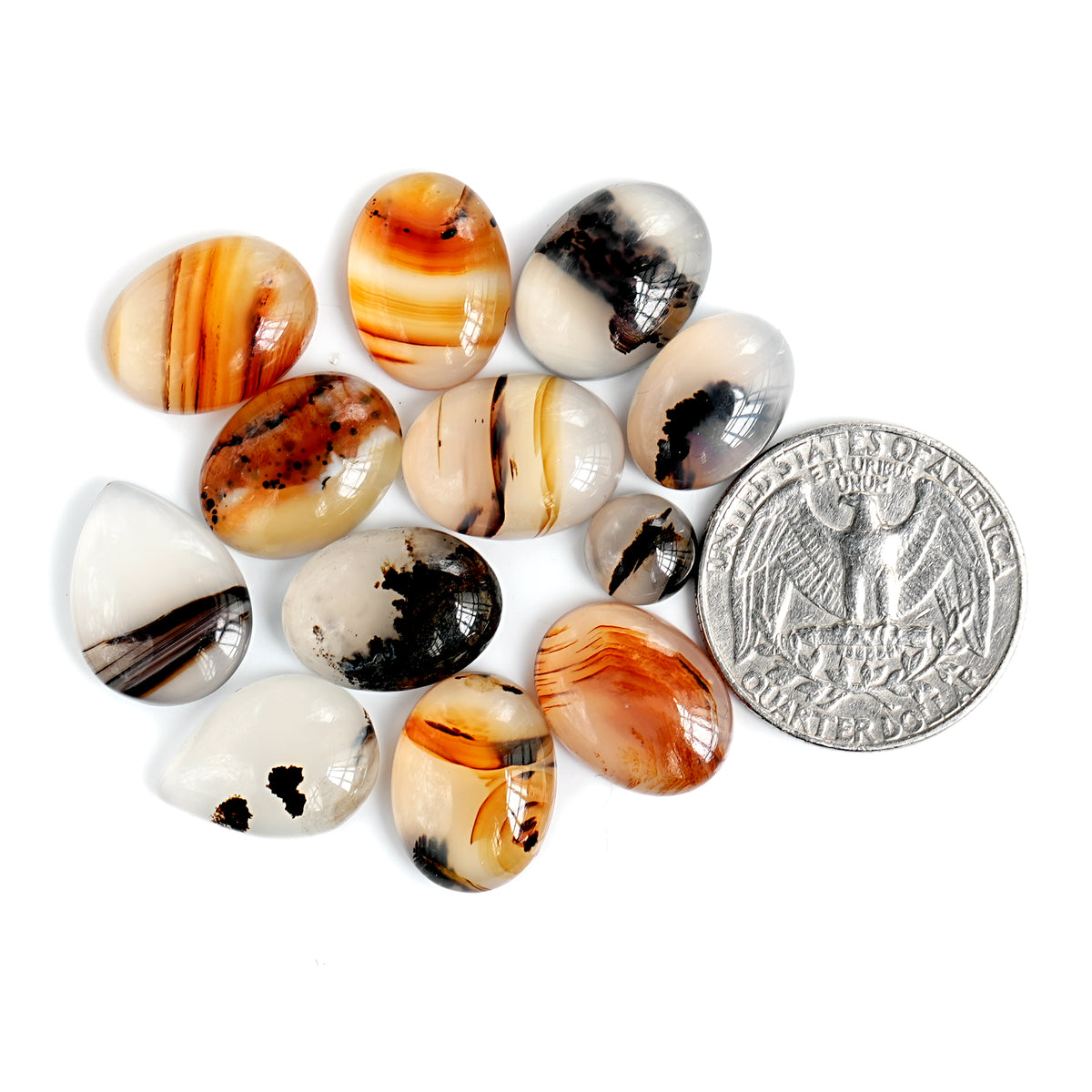 Montana Agate Cabochon |  Natural Flatback Loose Gemstones for Jewelry Making - 12 Pieces