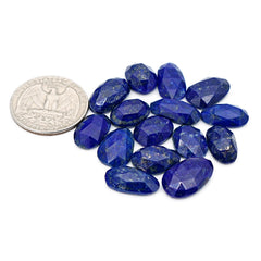 Lapis Lazuli Rose Cut Cabochon | Natural Flat Back Loose Gemtones For Jewelry Making - 15 Pieces
