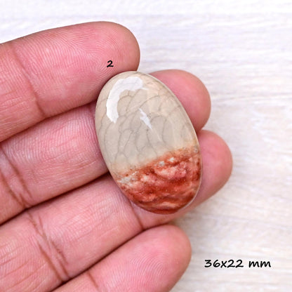 1x Natural Willow Creek Jasper Smooth Cabochon Rare Crystal - Polished Gemstone 22mm - 36mm Mix Shape Flat Back Gemstone for making jewelry