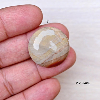 1x Natural Willow Creek Jasper Smooth Cabochon Rare Crystal - Polished Gemstone 22mm - 36mm Mix Shape Flat Back Gemstone for making jewelry