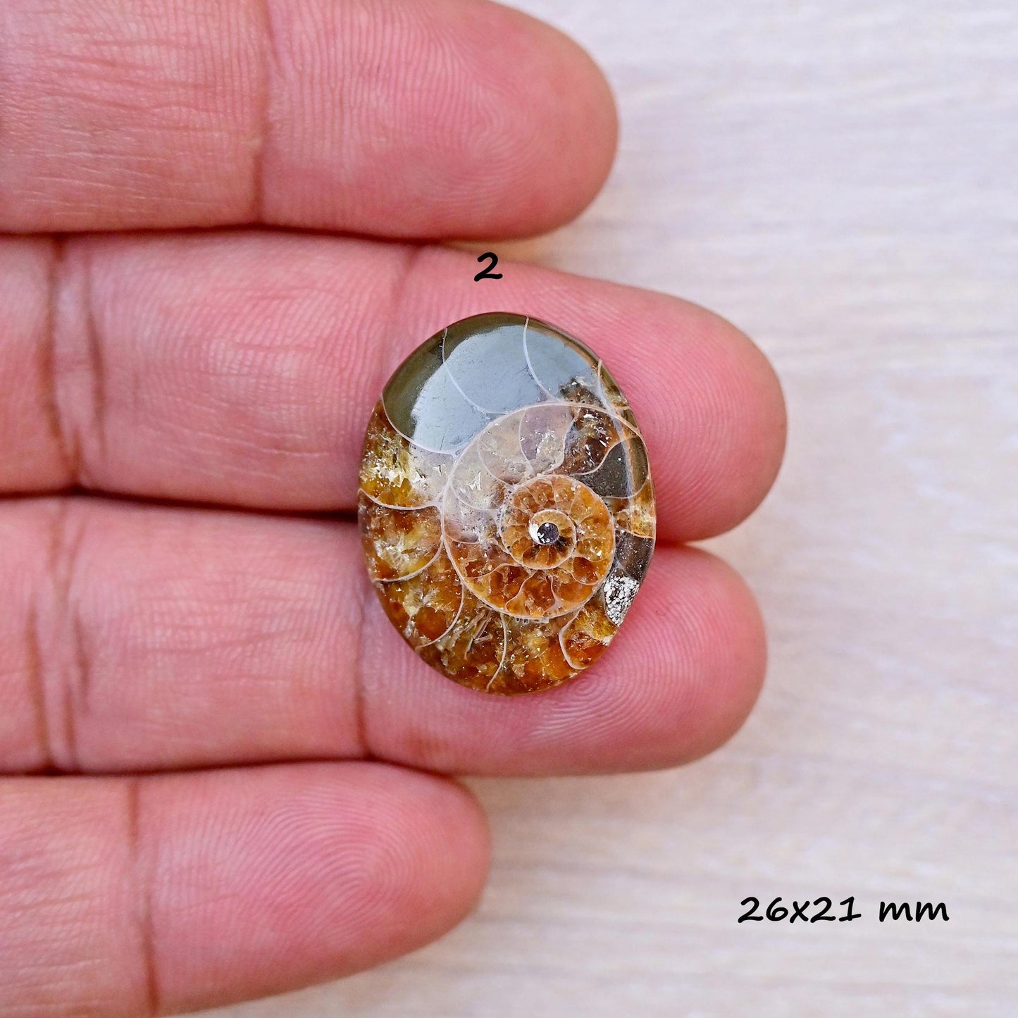 1x Ammonite Smooth Cabochon, 17mm - 28mm Mix Shape Fossil Cabochon Single Piece, Natural Gemstones DIY jewelry Setting Making