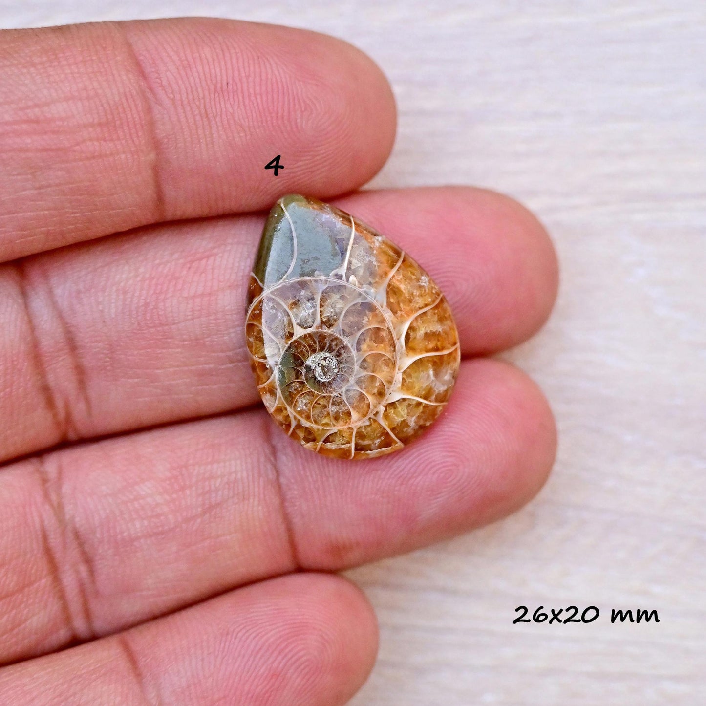 1x Ammonite Smooth Cabochon, 17mm - 28mm Mix Shape Fossil Cabochon Single Piece, Natural Gemstones DIY jewelry Setting Making