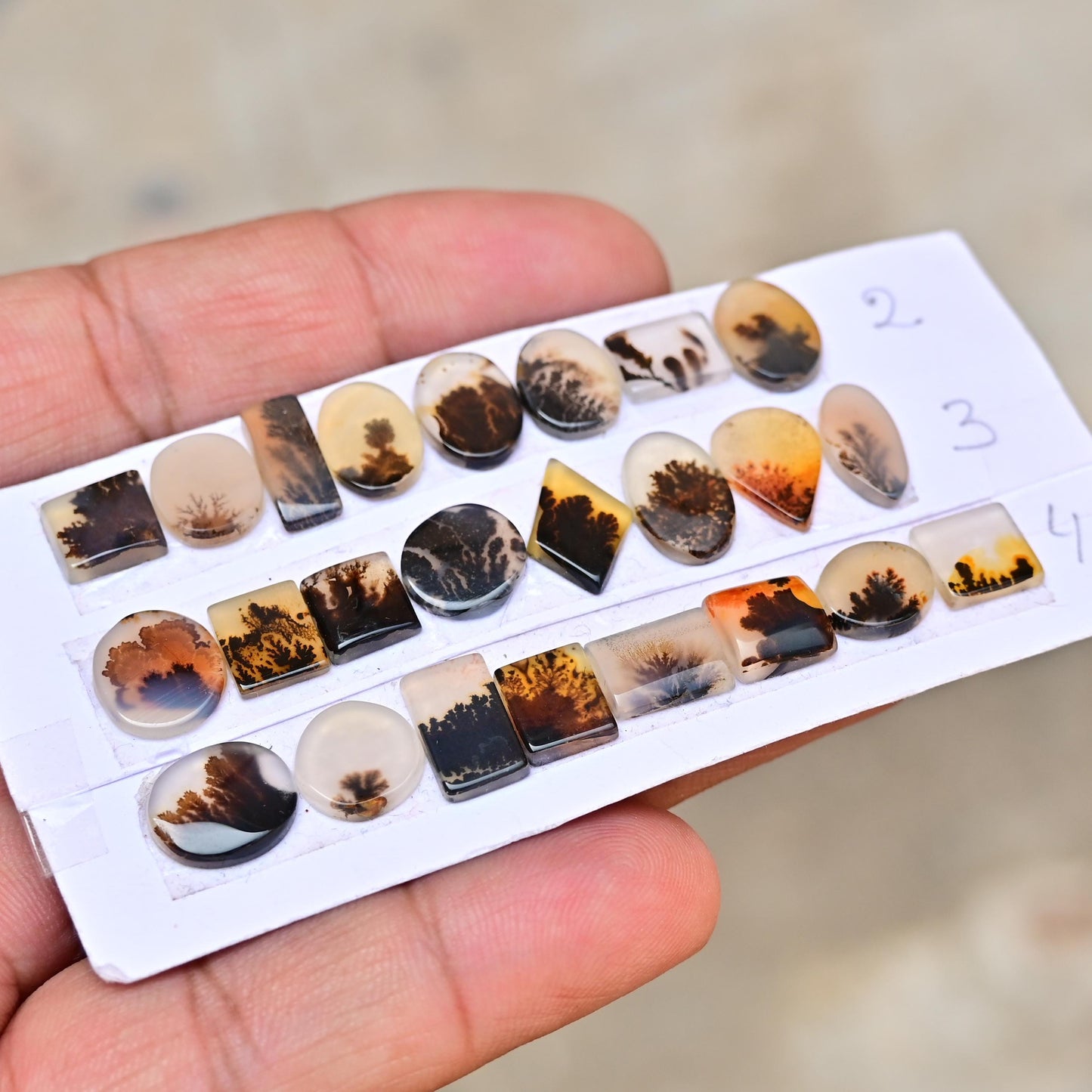 8 pc Scenic Dendritic Agate Smooth Cabochon, 6mm - 13mm Natural Cabochon High-Quality Gemstone, AAA Quality Scenic Agate Loose Gemstones