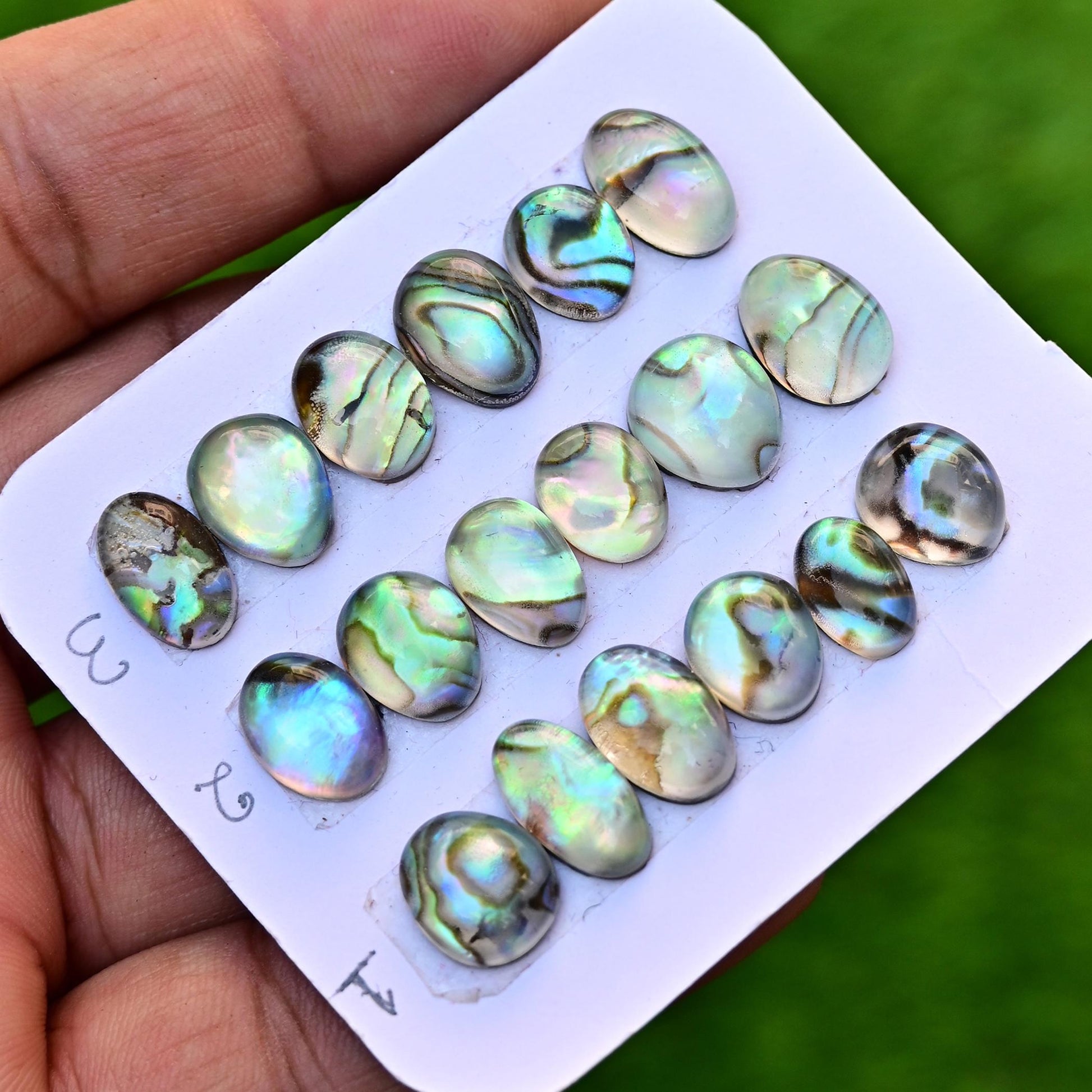 6 pcs Natural Abalone Shell Doublet with Himalayan Crystal Quartz Cabochon 7mm - 14mm Mother of Pearl Paua Shell Oval Shape Lot for Jewelry