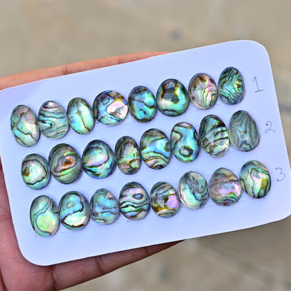 8 pcs Natural Abalone Shell Doublet with Himalayan Crystal Quartz Rosecut 10mm - 16mm Mother of Pearl Paua Shell Oval Shape Lot for Jewelry