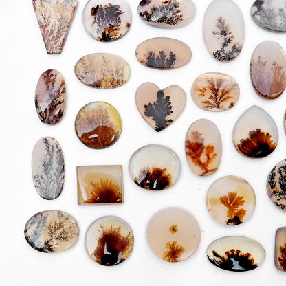 1 pc Scenic Dendritic Agate Smooth Cabochon, 12mm - 22mm Natural Cabochon High-Quality Gemstone, AAA Quality Scenic Agate Loose Gemstones