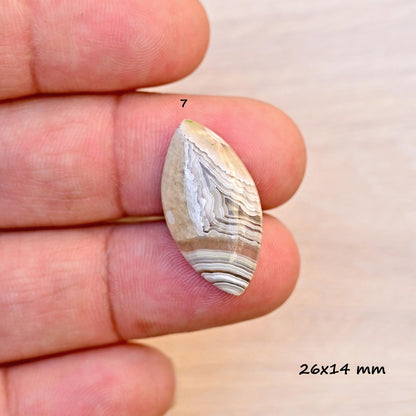 1x Natural Top Crazy Lace Agate 26mm - 35mm Cabochon Flatback Mix Shape Mexican Agate Cabochon Loose Gemstone For Ring and Jewelry Making