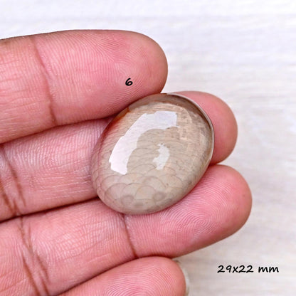 1x Natural Willow Creek Jasper Smooth Cabochon Rare Crystal - Polished Gemstone 22mm - 36mm Mix Shape Flat Back Gemstone for making jewelry