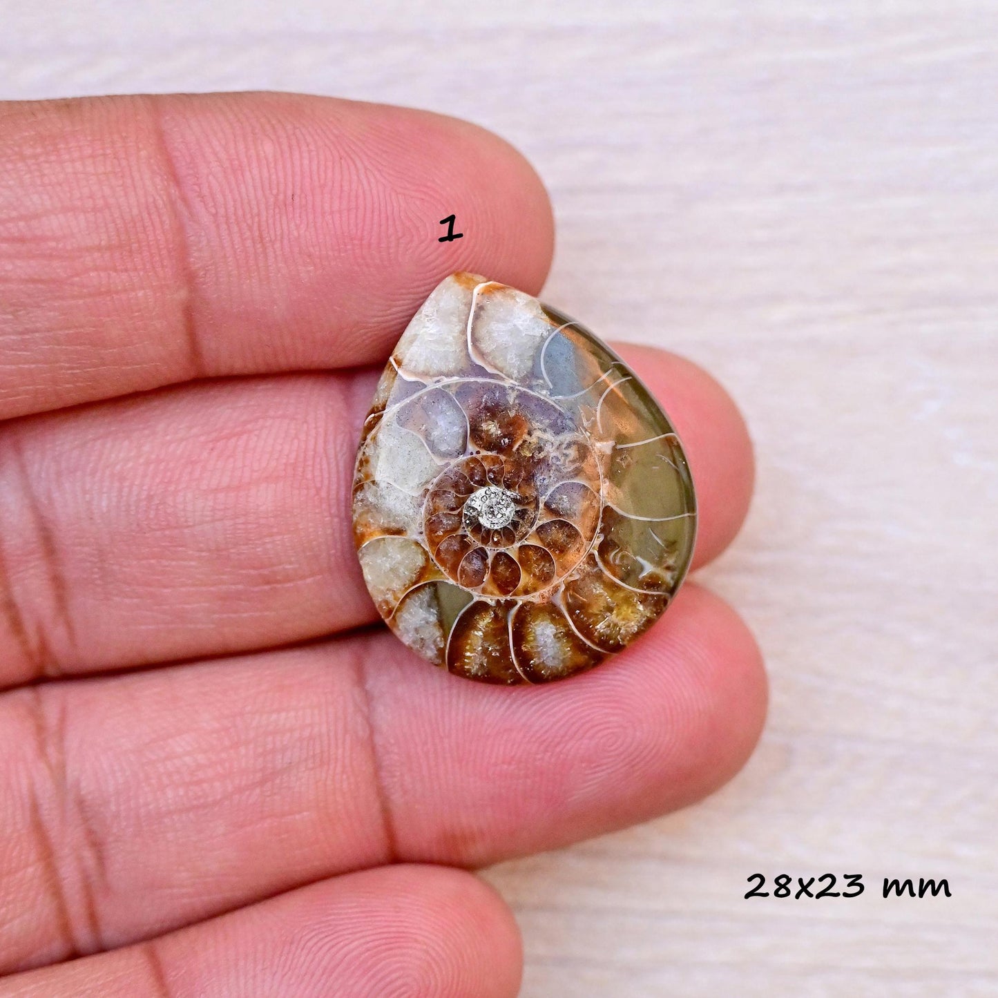 1x Ammonite Smooth Cabochon, 17mm - 28mm Mix Shape Fossil Cabochon Single Piece, Natural Gemstones DIY jewelry Setting Making