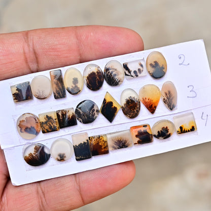 8 pc Scenic Dendritic Agate Smooth Cabochon, 6mm - 13mm Natural Cabochon High-Quality Gemstone, AAA Quality Scenic Agate Loose Gemstones