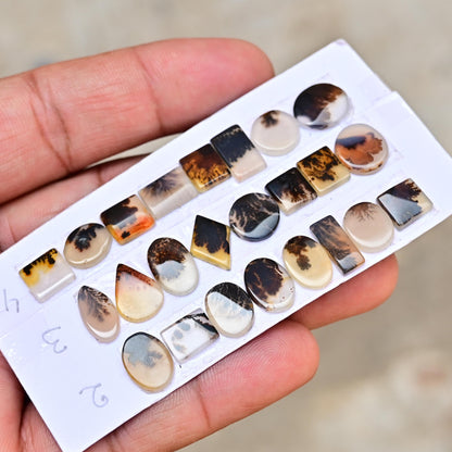 8 pc Scenic Dendritic Agate Smooth Cabochon, 6mm - 13mm Natural Cabochon High-Quality Gemstone, AAA Quality Scenic Agate Loose Gemstones