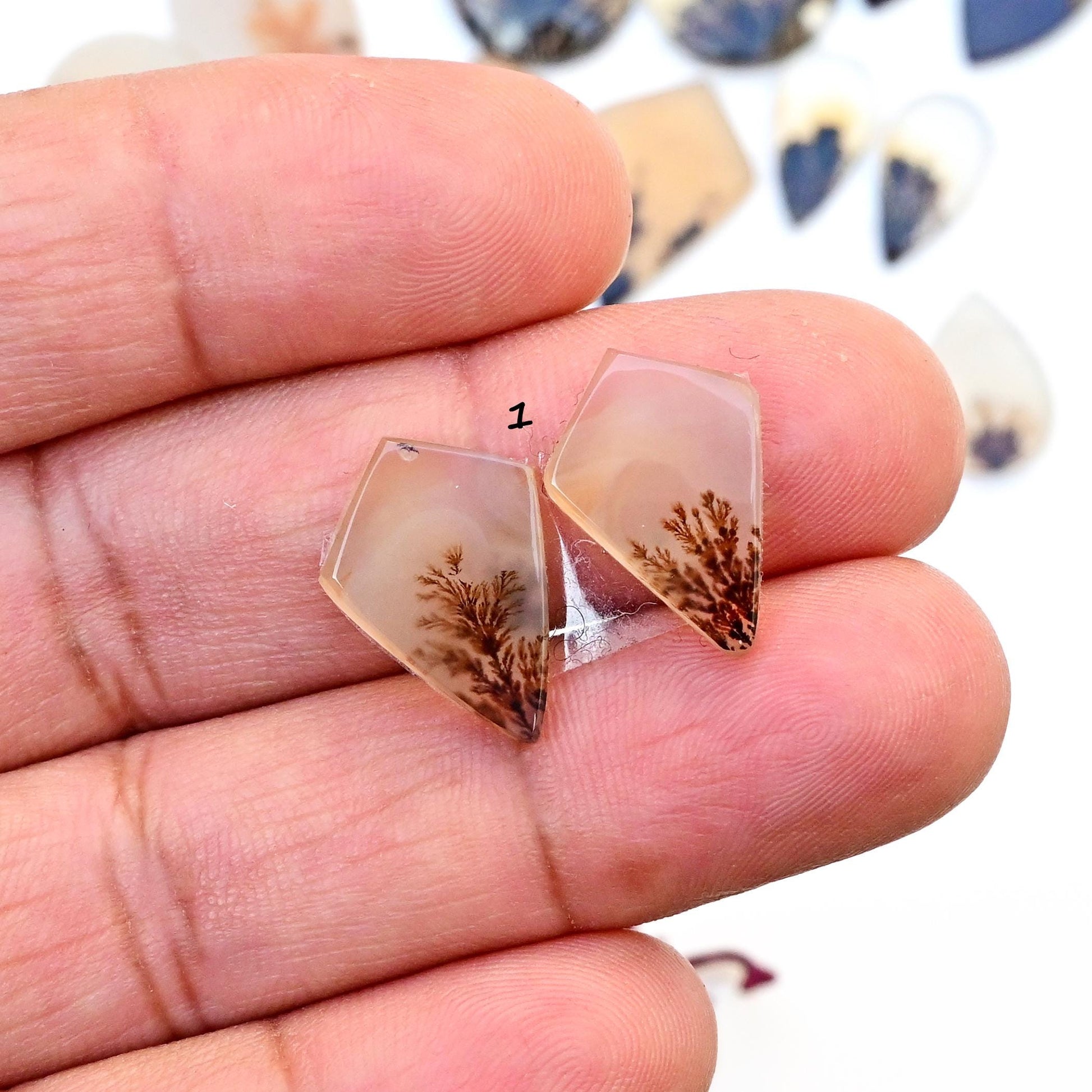 1 pair Scenic Dendritic Agate Smooth Cabochon, 12mm - 22mm Natural Cabochon High-Quality Gemstone, AAA Quality Scenic Agate Loose Gemstones