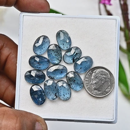 39,60 ct. Blaugrüner Moos-Kyanit im Rosenschliff, ovale Form, 8 x 12 mm, Edelsteinpaket der Güteklasse AA, insgesamt 12 Stück